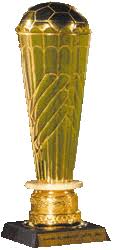 نهائي كأس الولاية للأصناف الصغرى