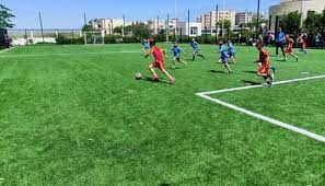 البطولة الولائية للمدارس الرياضية